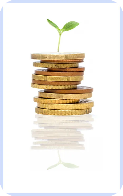 공모주청약 2025년 4월 일정과 전망은?