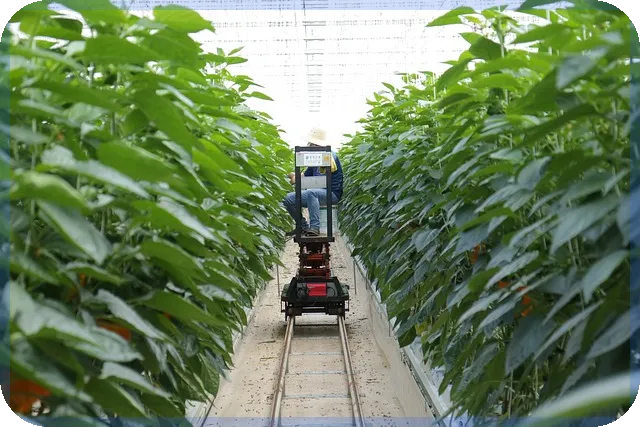 군인적금으로 재테크 시작하기