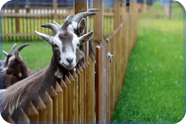 기준중위소득100% 의미 총정리