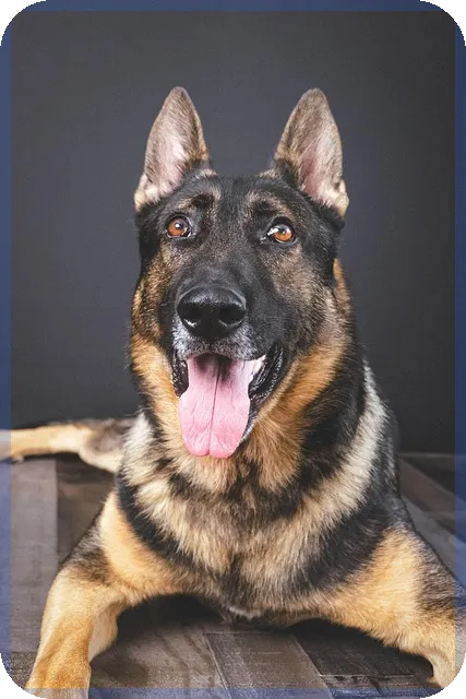 방산관련주 한화에어로스페이스 성장 전망은