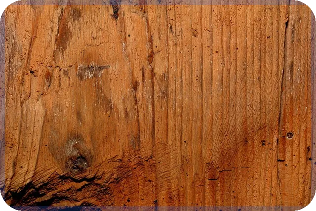 배터리주식 삼성SDI 주가 전망은?