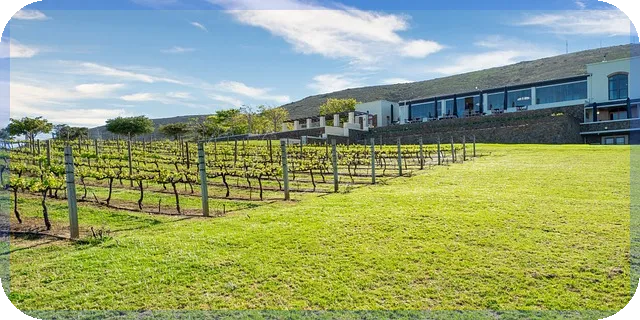 부동산양도소득세 납부 의무와 예외는?