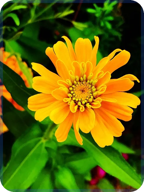 비메모리반도체관련주 주성엔지니어링의 주가 전망은?