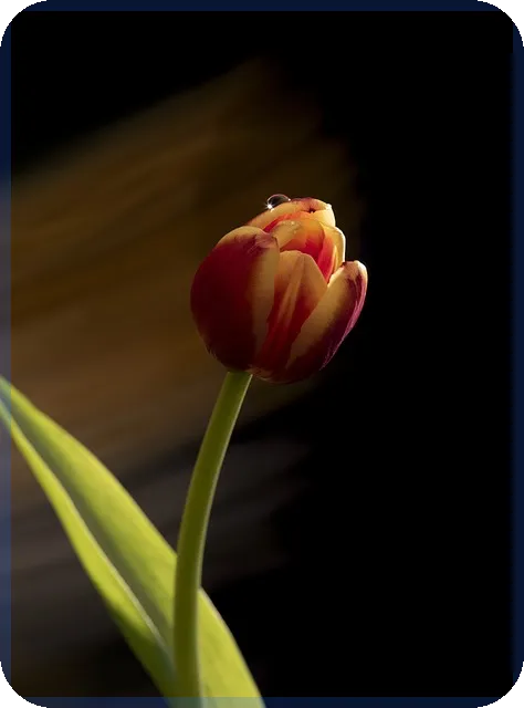 비메모리반도체관련주 주성엔지니어링의 주가 전망은?