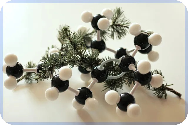 수소차대장주 2025 성장 가능성은?