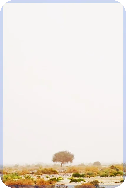 엔터관련주 상승 가능성은?