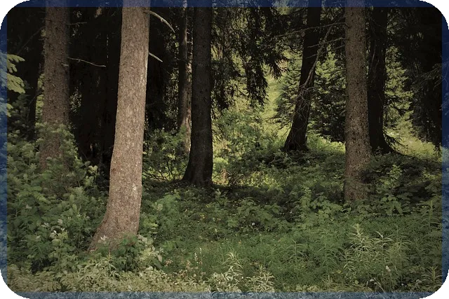 연말정산환급금지급일 언제일까? 확인하세요