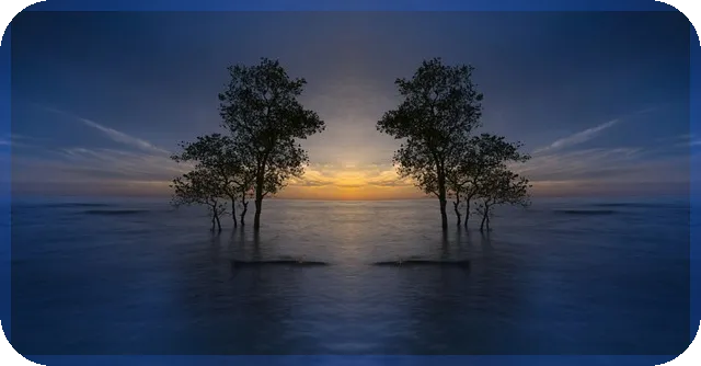 일본ETF로 엔화로 미국 장기채 투자하기