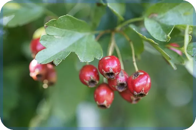 일본ETF로 엔화로 미국 장기채 투자하기