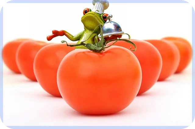 임신출산지원금 신청 방법과 필수 정보는?