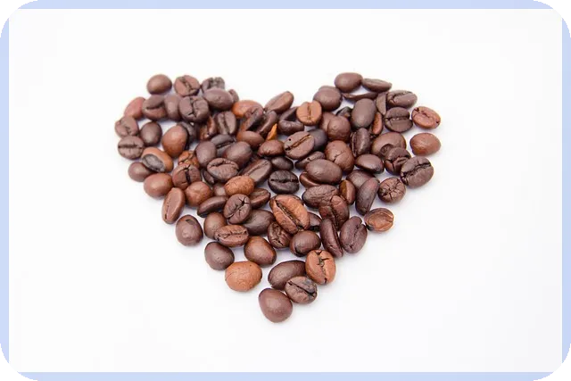 청년교통비지원 K패스 vs 청년 지원, 어떤 것이 더 나을까