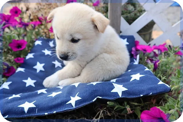 청년저축계좌 자격조건과 신청방법 안내