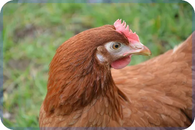 청년청약 전환 방법과 혜택은?