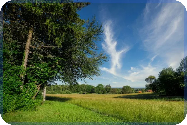 CJ프레시웨이주가 향후 상승 기대와 전망 분석