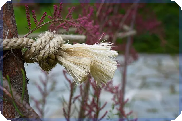 CJ프레시웨이주가 향후 상승 기대와 전망 분석