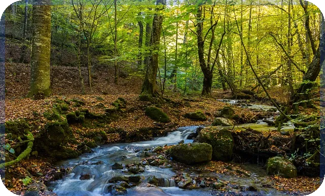 CJ프레시웨이주가 향후 상승 기대와 전망 분석
