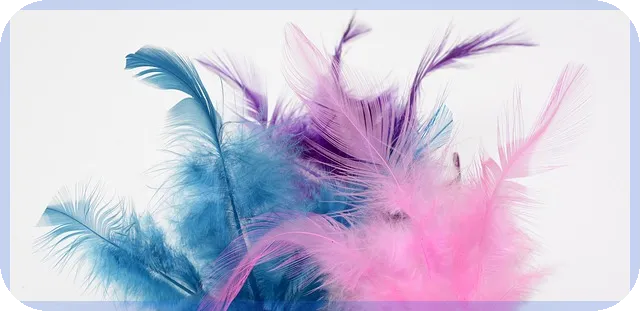 교육비신청으로 자녀 지원 받는 법 지금 바로 알기