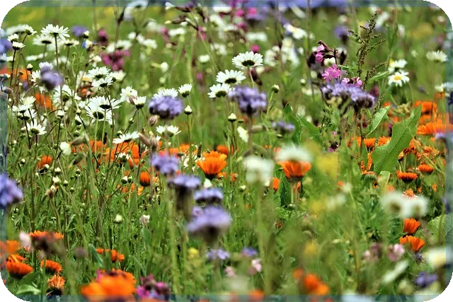 교육비신청으로 자녀 지원 받는 법 지금 바로 알기