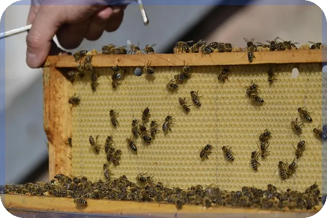 국세청세무조사 대비법 완전 정복