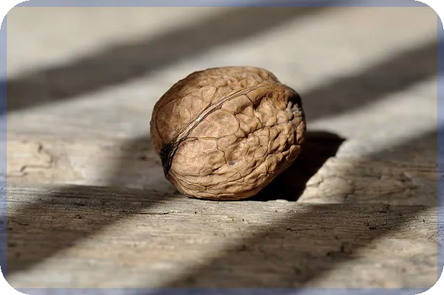디피씨주가 전망과 주식 투자 전략 분석