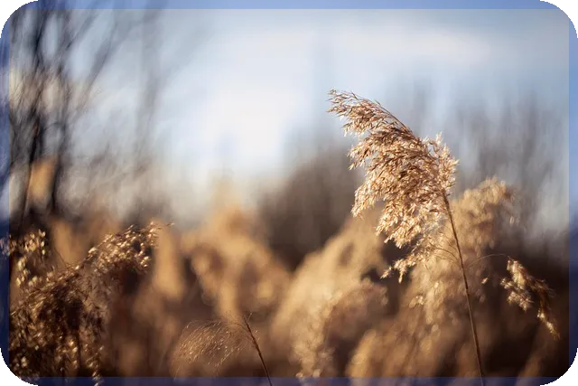 록히드마틴주가 전망 핵심 포인트와 투자 전략