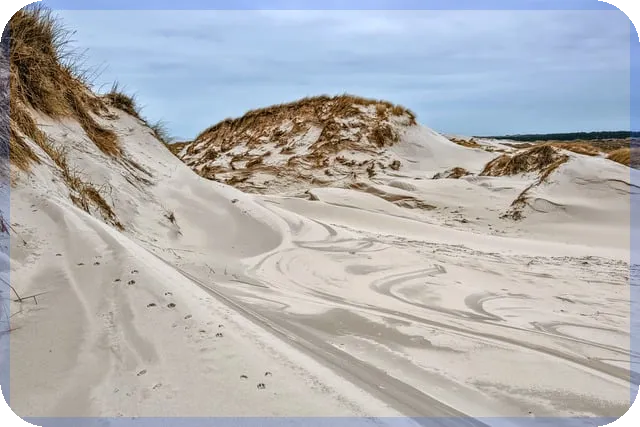 보험부담보란 무엇인가요 보험 이해와 적용 방법