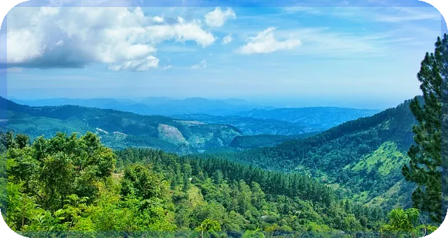 부동산매매서류 반드시 준비해야 할 핵심 서류와 체크포인트