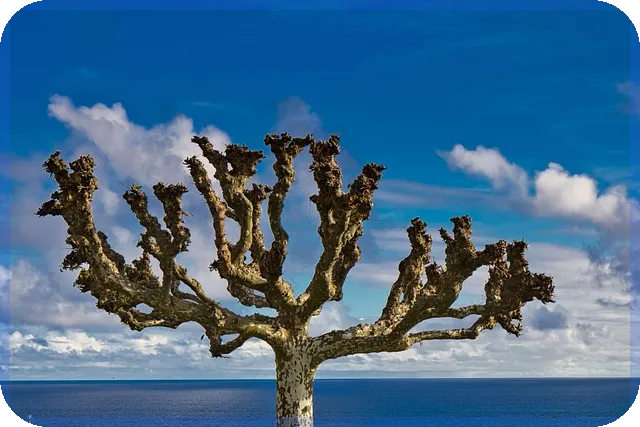부산지식산업센터 싱크대 이전설치 방법과 효율적 공정 자세히 보기