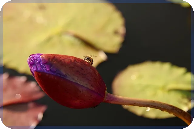 블로그마켓 활용법 온라인 판매 성공전략