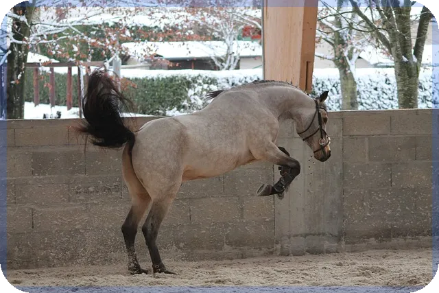 산업안전보건법 최신 개정 내용과 핵심 체크포인트