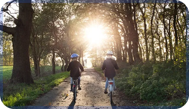 서킷브레이커와 사이드카, 금융시장에서 왜 필요할까