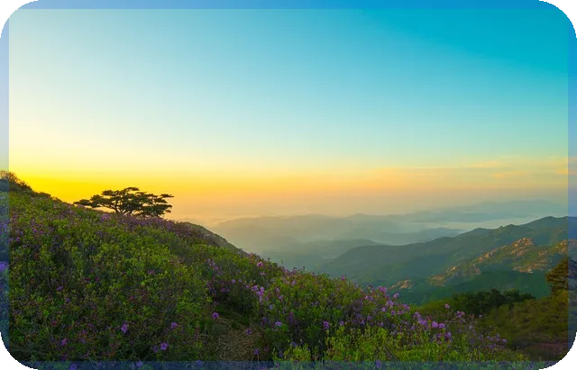 아난티주가 2025년 전망과 핵심 요인 분석