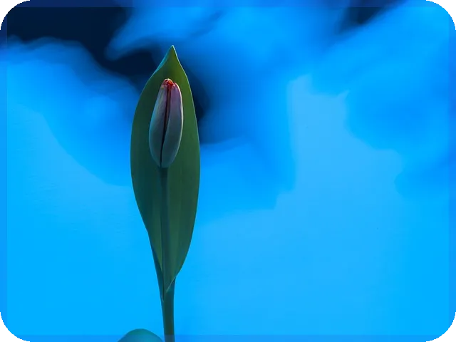 아난티주가 2025년 전망과 핵심 요인 분석