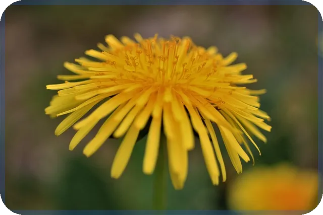 아난티주가 2025년 전망과 핵심 요인 분석