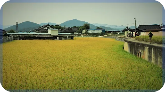 아난티주가 2025년 전망과 핵심 요인 분석