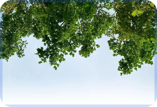 여성기업신청 절차와 성공 전략 완벽 가이드