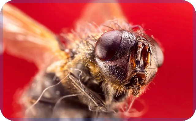 은행이율 2025년 최고 은행은 어디?