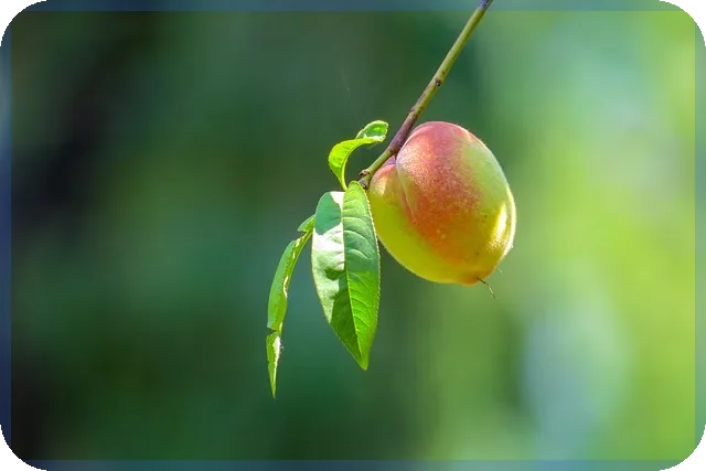 은행펀드 리워드 확정 방법과 최신 혜택 소개
