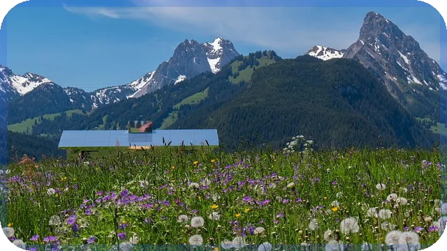 장기전세가점 높이기 전략과 당첨 꿀팁