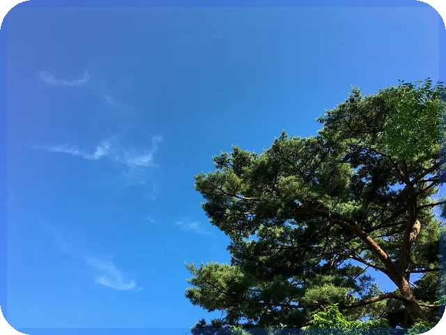 전업주부국민연금 가입하지 않으면 4억 손실 가능성 밤새워 고민하지 마세요