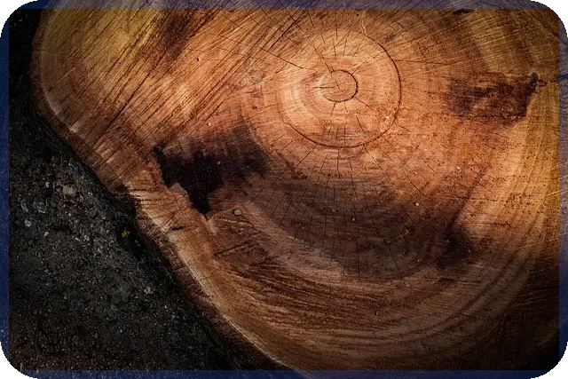 청주분양 뜨거운 인기 비결과 전망은 무엇인가