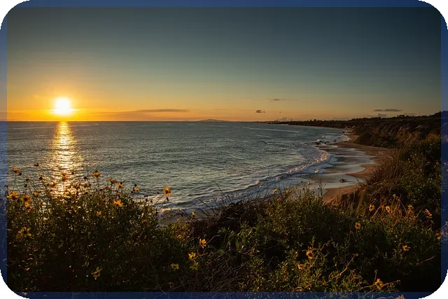 청주분양 뜨거운 인기 비결과 전망은 무엇인가