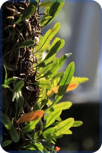 청주분양 뜨거운 인기 비결과 전망은 무엇인가