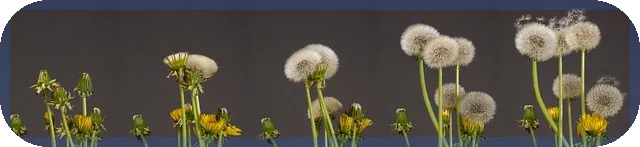 코오롱글로벌주가 전망과 투자 전략 가이드