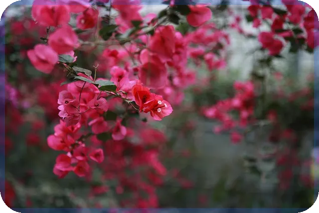 퇴직공제부금 일수 수정 방법과 필수 체크포인트