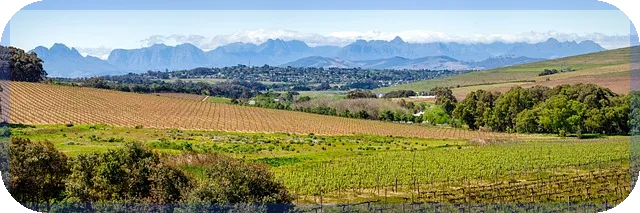 현대엔지니어링공모주 청약 걸림돌은 무엇일까