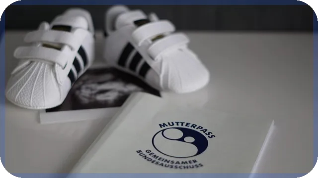 공적연금연계제도 신청으로 노후 안정 확보하기