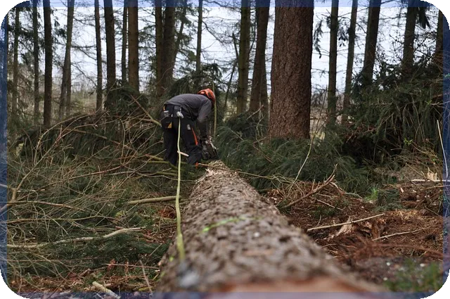 공적연금연계제도 신청으로 노후 안정 확보하기