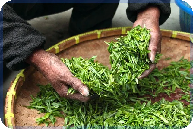 공적연금연계제도 신청으로 노후 안정 확보하기
