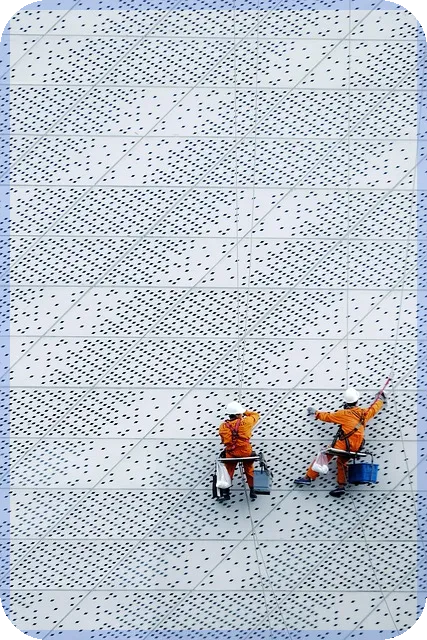 다스코주가 효과와 위험성 완벽 분석 무엇이 중요한가